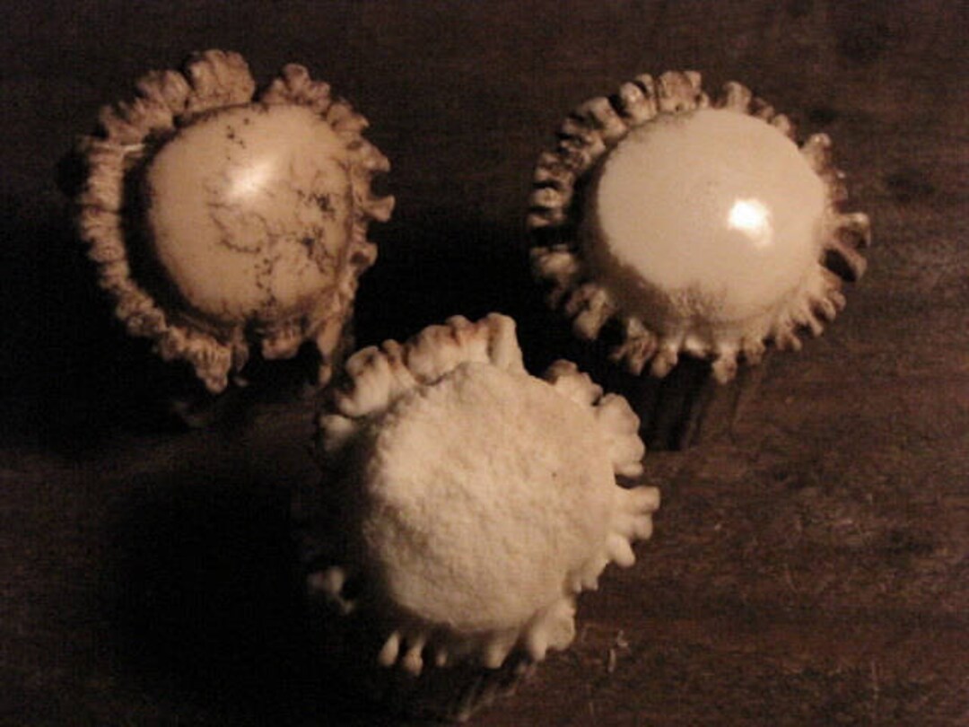 15/8 Antler Crown Pulls, Knobs for Doors and Drawers, Deer