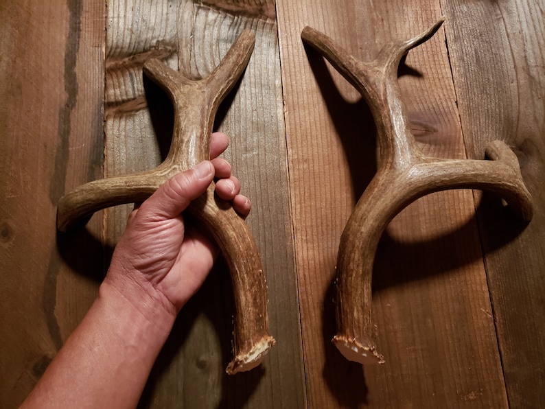 Real Deer Antler Handle Set Matched Double Door Pulls Barn Refrigerator Man Cave Room Hunting Lodge Cabin Log Home House Mule Sheds