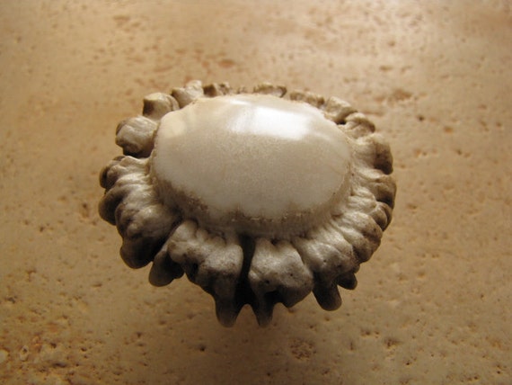 Real Deer Antler Crown Pulls Knobs For Cabinet Doors Drawers Etsy