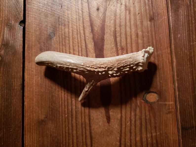 Whitetail Antler Handle Cabinet Handle Drawer Pull Antler Etsy