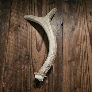 10" Real Forked Deer Antler Door Handle, Barn Door, Cabin Door, Gun Cabinet, Man Cave, Work Shed, Tree House, Cabin Decor #H5