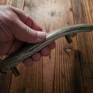 Op de afbeelding: Een gebogen geweihen handvat met een natuurlijk bruin en wit patroon. Het handvat heeft twee zilveren metalen schroeven om het aan een deur of lade te bevestigen.