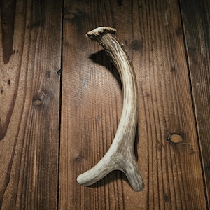 9" Real Forked Deer Antler Door Handle, Barn Door, Cabin Door, Gun Cabinet, Man Cave, Work Shed, Tree House, Cabin Decor #H7