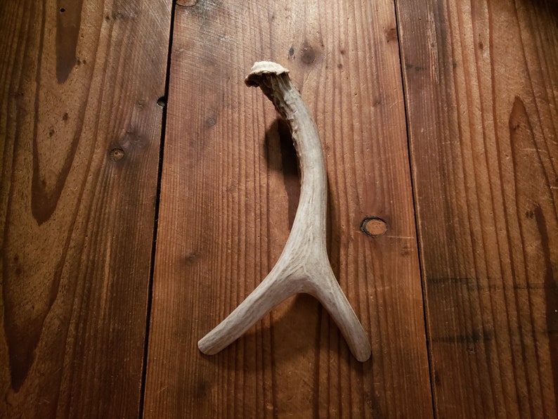 9 Forked Deer Antler Handle For Cabinet Door Drawer Etsy