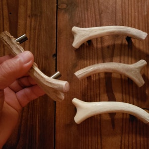 Op de afbeelding: Hertenhoorn lade-knoppen met zilverkleurige metalen hardware. Eén knop wordt door een hand vastgehouden, waarbij de natuurlijke beige en bruine tinten van het gewei te zien zijn. De andere knoppen zijn op een houten oppervlak geplaatst.