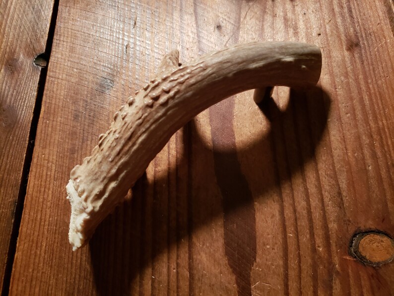 Deer Antler Pull Shed Antler Antler Drawer Pull Cabinet Pull