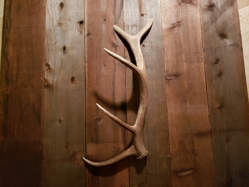 5 Handles Pulls Deer Antler Drawer Cabin Man Cave Door Dresser Elk