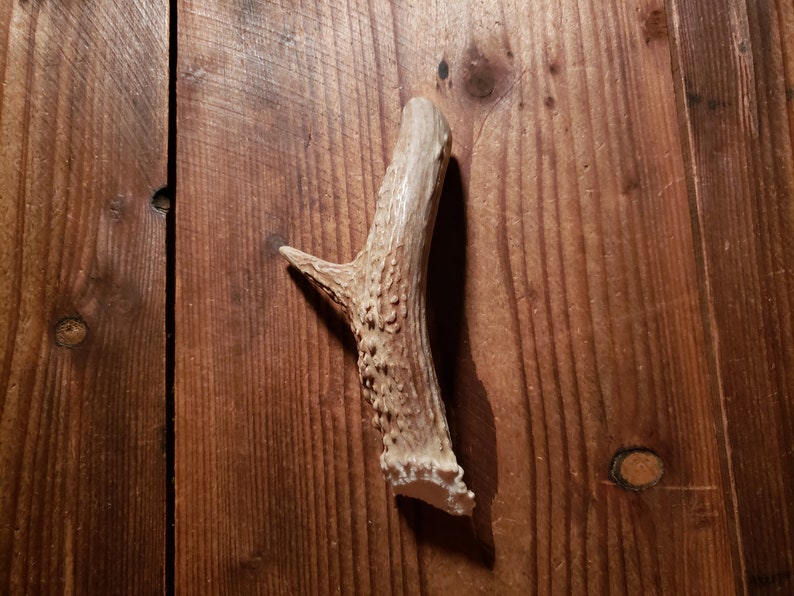 Deer Antler Pull Shed Antler Antler Drawer Pull Cabinet Pull