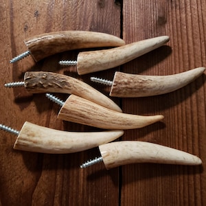 Real 3&quot; Elk Antler Tip Wall Hook Screw into Wood, Stud through Drywall, Coat Hook, Hat Rack, Rod or Bow Rack, Cabin Decor, Farmhouse, Home