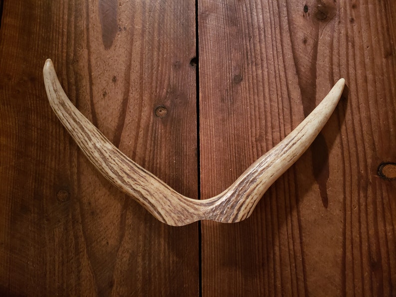 Large Elk Antler Fork Tip for Headpiece Crowns Hair Head Band Comb Headpiece Cosplay Forest Faun Faerie Fairy Costume Crafts