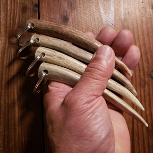 5&quot; Real Deer Antler Guardian Key Ring Drilled Spike Antler Tip Tine Shed Antler Keychain Keyring Fob Gift by Antler Artisans