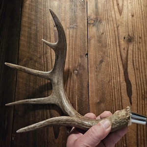 Huge 5pt Antler Beer Tap Handle, Free Ship, Real Antler, Kegerator Keezer Man Cave Keg Gift for Him Whitetail Deer Shed Gift for Men #B5