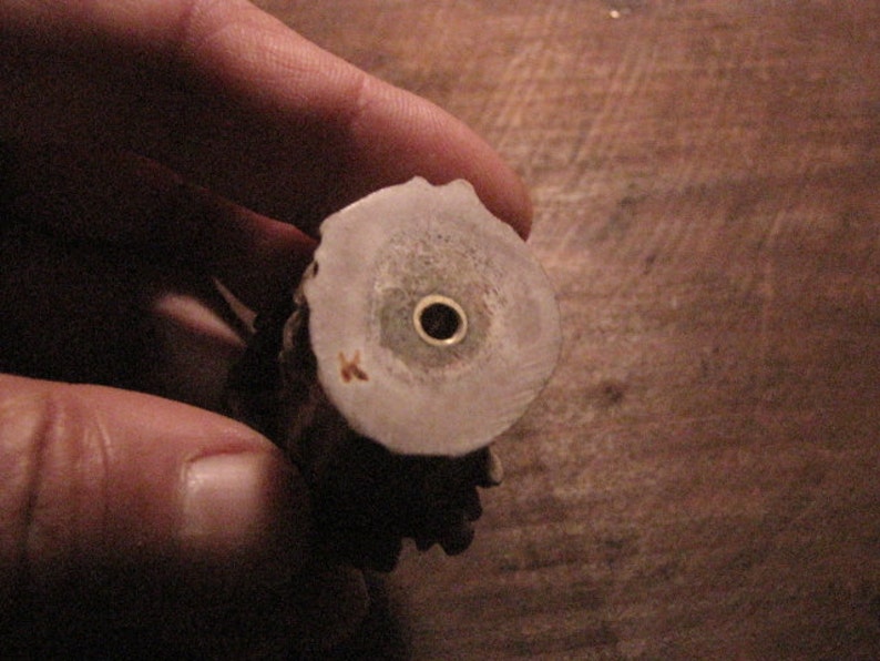 Puede incluir: Primer plano de la parte inferior de un tap&oacute;n de botella de hueso. El tap&oacute;n tiene una peque&ntilde;a inserci&oacute;n de metal en el centro.