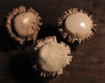 1-5/8 "Real Antler Crown Pulls, Perillas, para Puertas de Gabinete y Cajones, Perillas de Cornamenta de Ciervo, Rebabas de Ciervo... por Antler Artisans