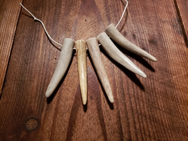 5 Drilled Antler Tips 2-12 to 2-34 Pendants Real Deer Antler Points Bear Claws Tusk Natural Shed Jewelry Embellish Craft Supply #T58
