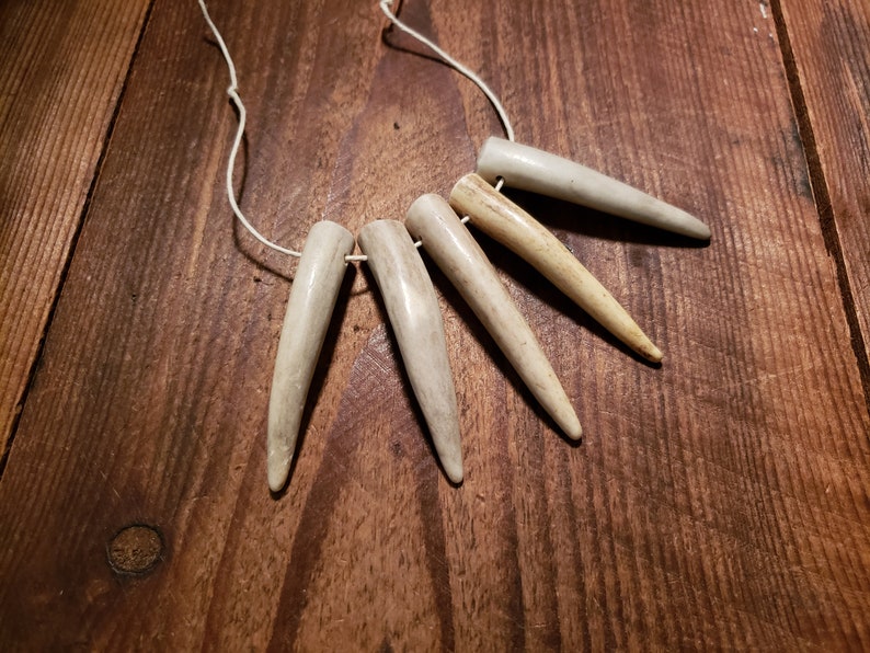 5 Drilled Antler Tips 2-12 to 2-34 Pendants Real Deer Antler Points Bear Claws Tusk Natural Shed Jewelry Embellish Craft Supply #T58