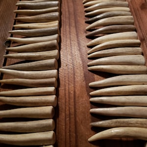 Real Deer Antler Tip Pendants, 2-1/2" Drilled, Antler Tines, for Necklace Jewelry, Craft Antler, Grade A1, Antler Jewelry, Natural, Beads
