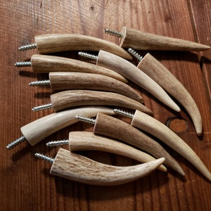 Antler Tip Wall Hook, 3&quot; Screw into Wall Deer Tines Tips, Coat Hook, Hat Rack, Real Deer Hook, Fishing Pole, Cabin Decor, Mountain Man