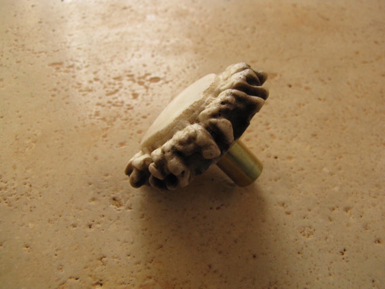Real Polished Deer Antler Crown Pulls Knobs for Doors Etsy