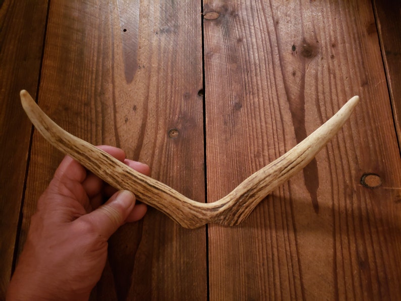 Large Elk Antler Fork Tip for Headpiece Crowns Hair Head Band Comb Headpiece Cosplay Forest Faun Faerie Fairy Costume Crafts