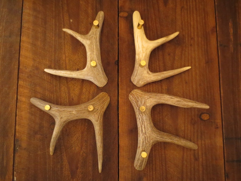 Real Elk Antler Drawer Handle Cabinet Pulls Door Hardware by Antler Artisans