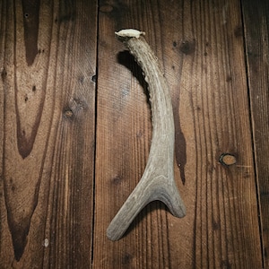10" Real Forked Deer Antler Door Handle, Barn Door, Cabin Door, Gun Cabinet, Man Cave, Work Shed, Tree House, Cabin Decor #H6