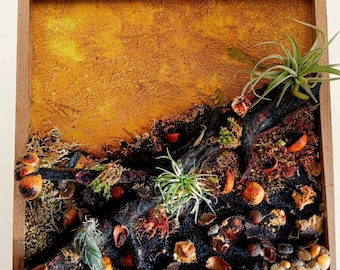 Entorno vegetal natural "tierra quemada"