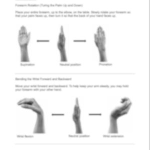 May include: A white instructional document titled OTPrintablesCH featuring black and white diagrams of wrist exercises. It illustrates forearm rotation with supination, neutral, and pronation positions, and wrist bending with flexion, neutral, and extension.