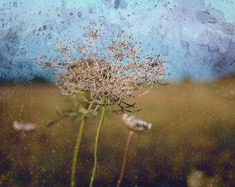 meadow landscape, brown blue sepia aquarell dreamy fine art photography print, limited edition, wall art, painting dark