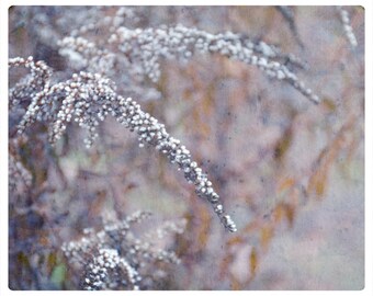 nostalgic photography print, herbs digital collage, frozen winter twigs, branches, limited edition, home photo, wall decor, pastel, pale