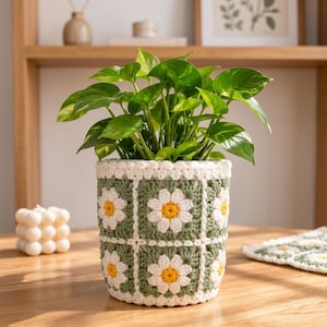 Puede incluir: Una planta de hojas verdes en una funda de maceta cilíndrica de ganchillo con una cuadrícula de motivos cuadrados. Cada cuadrado muestra una margarita blanca con centro amarillo sobre fondo verde salvia, unida por bordes de hilo crema.