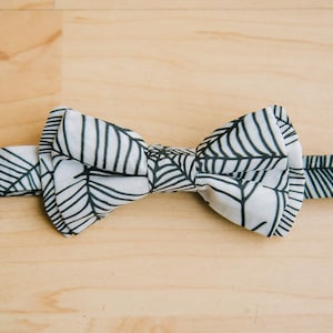 Spiderweb Boy&#39;s Bow Tie
