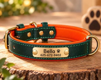 Könnte beinhalten: Ein dunkelgrünes Haustierhalsband aus Leder mit leuchtend orangefarbenem Innenfutter. Das Halsband verfügt über ein goldfarbenes Metallschild, das mit dem Namen Bella, einem Pfotenabdruck und der Telefonnummer 625-672-9402 graviert ist.