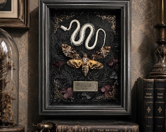May include: A rectangular black frame containing a white snake skeleton positioned above a death's-head hawkmoth with brown and yellow wings. The background is black with an embossed floral pattern, featuring a small metal plaque with text.