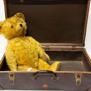 May include: A vintage brown leather suitcase with brass hardware is open and a large, yellow, plush teddy bear is sitting inside.