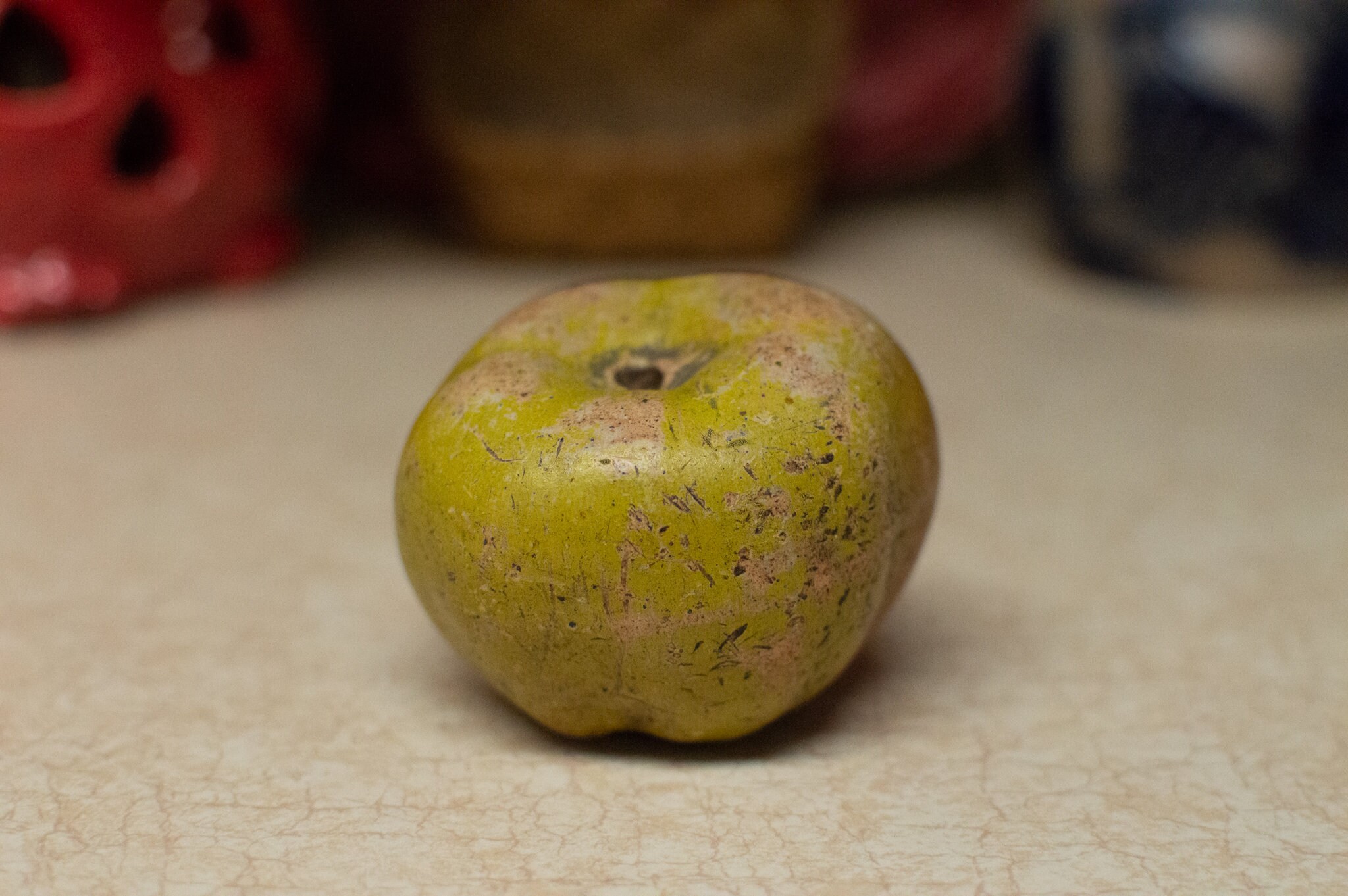 fruit stone of apple