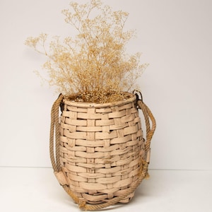 May include: A light beige woven basket with a rounded body and a wide opening. The basket features two thick, twisted tan rope handles attached to the sides. Inside the basket is a large, airy arrangement of dried, light tan baby's breath flowers.