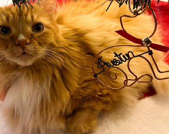 Adorno de gato de alambre personalizado: regalo conmemorativo artesanal para tu mascota