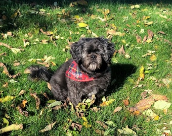 Custom Dog Bandana, Personalized Dog Bandana, Plaid, Christmas, Holiday, New Puppy Gift, Embroidered Dog, Dog Handkerchief, Dog Bow Tie