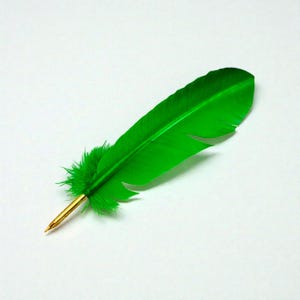 May include: A vibrant green feather with a gold-colored tip and a fluffy green base. The feather is positioned diagonally against a white background, creating a striking contrast. The feather's texture and color suggest a decorative or craft item.