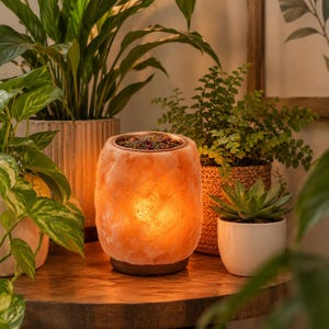 May include: A cylindrical Himalayan salt lamp with a warm orange glow, featuring a dark wooden base and a metal dish on top filled with dried botanicals. The lamp emits a soft light, highlighting the textured, crystalline surface of the salt.