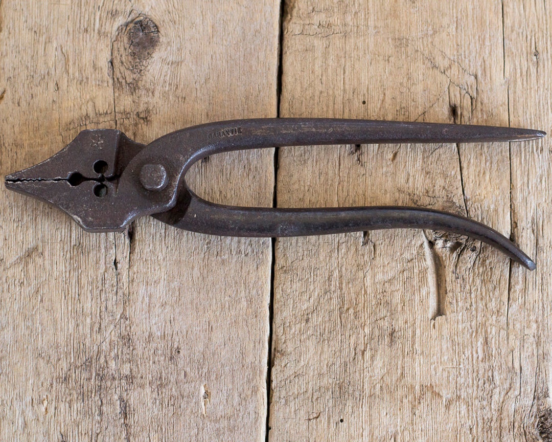 Antique Very Rare Cobbler Pliers Pincers Leatherworking Shoemakers Lastyng Pliers Pliers and Hammer Cobbler Tool Etsy UK