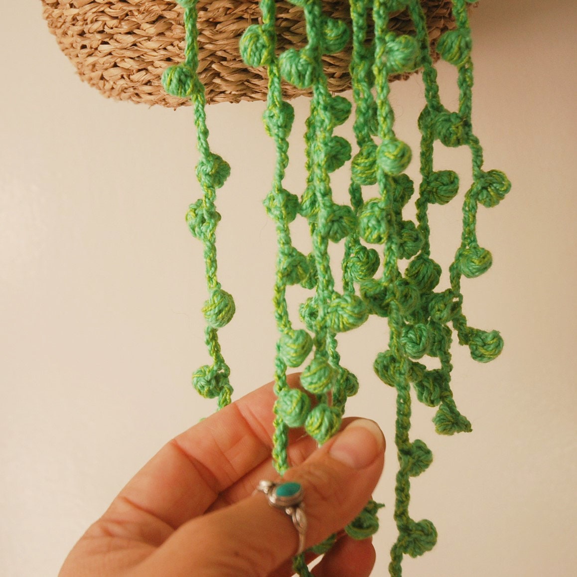 Crochet String of Pearl Succulent Pattern Step by Step Etsy