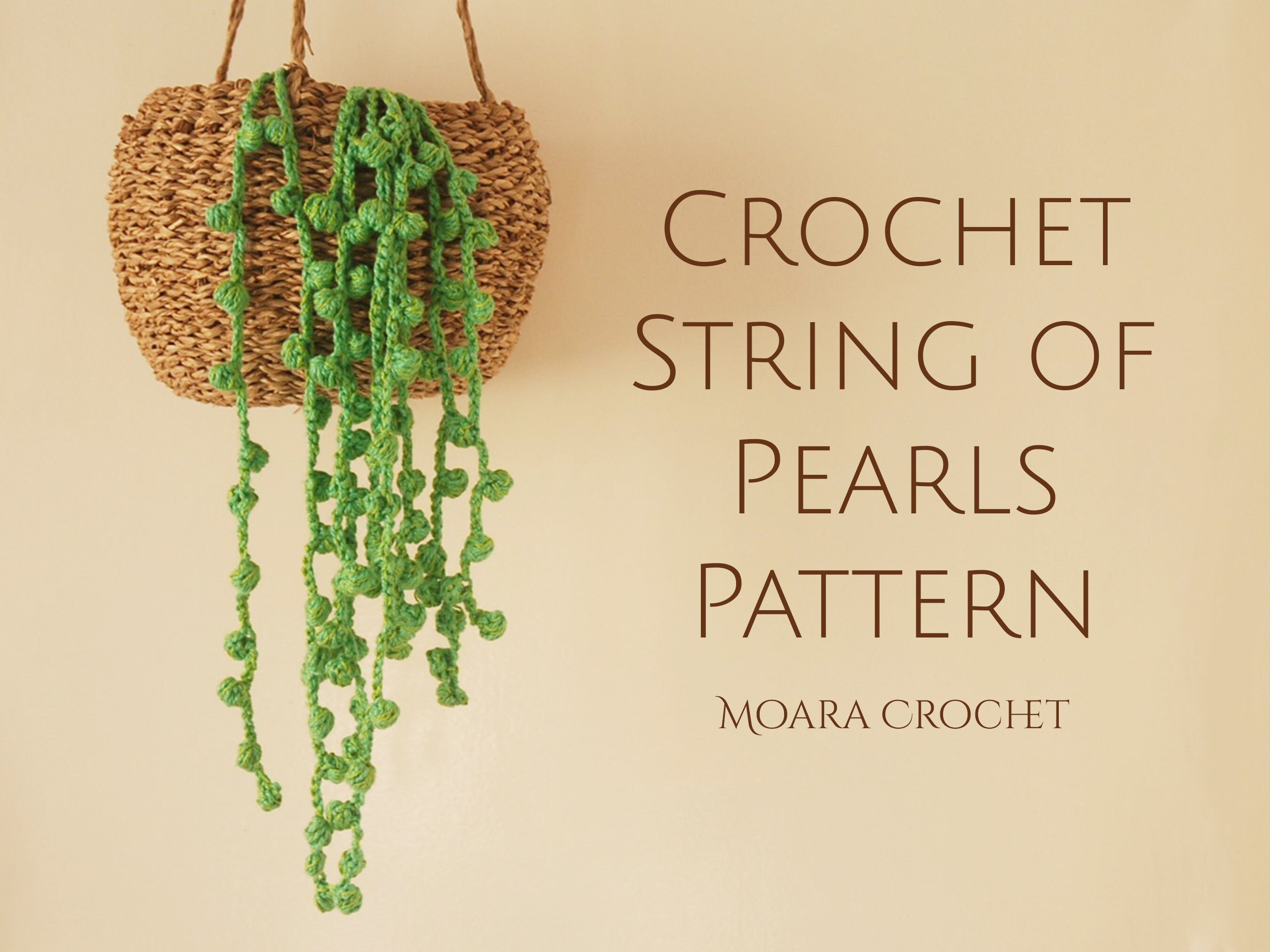 Crochet String of Pearl Succulent Pattern Step by Step Etsy