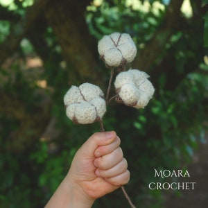 May include: A hand holds a crocheted cotton boll stem with three white cotton bolls. The stem is brown and the bolls are white with brown accents. The background is out of focus and green. The text "MOARA CROCHET" is in the lower right corner of the image.
