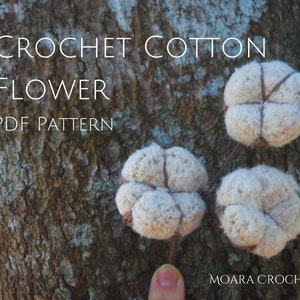 May include: Crochet cotton flower PDF pattern. Three white crocheted cotton flowers with brown stems are displayed on a tree bark background. The text "MOARA CROCHET" is visible in the bottom right corner.