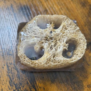 May include: A rectangular bar of soap featuring a natural, fibrous, beige loofah slice embedded within a translucent, dark brown, and clear glycerin base. The loofah has a porous, web-like texture with visible circular openings throughout the center.