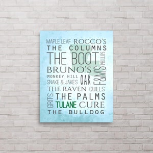 Tulane Bars Louisiana Poster Print