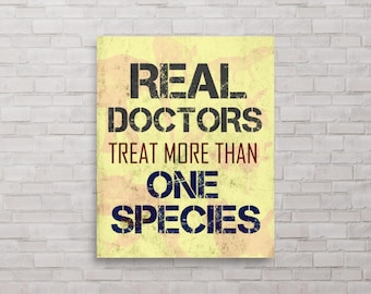 Real Doctors Veterinarian Poster