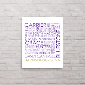 Harrisonburg Virginia University Poster